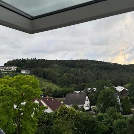 Homez Altbau Appartement *